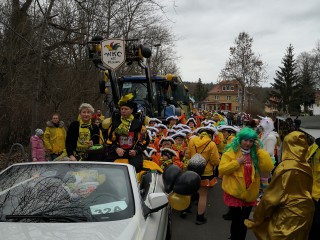 Faschingsumzug - 03.03.2019