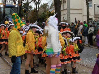 Faschingsumzug - 03.03.2019