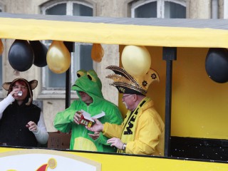 Faschingsumzug - 03.03.2019