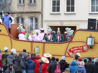 Faschingsumzug - 03.03.2019