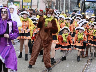 Faschingsumzug - 03.03.2019