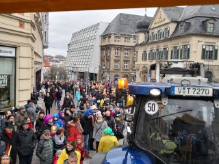 Faschingsumzug - 03.03.2019