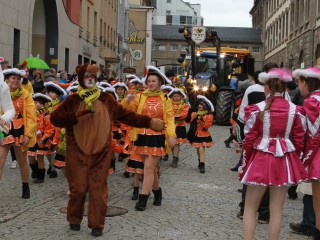 Faschingsumzug - 03.03.2019