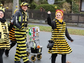 Faschingsumzug Plauen - 23.02.2020