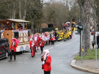Faschingsumzug Plauen - 23.02.2020