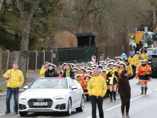 Faschingsumzug Plauen - 23.02.2020