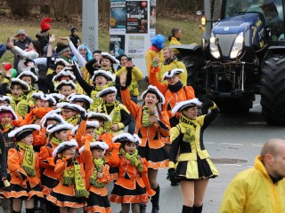 Faschingsumzug Plauen - 23.02.2020