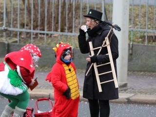 Faschingsumzug Plauen - 23.02.2020