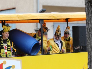 Faschingsumzug Plauen - 23.02.2020