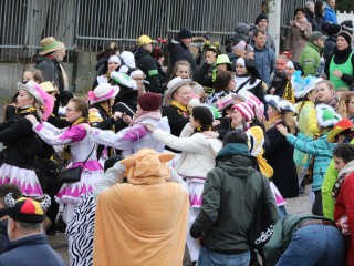 Faschingsumzug Plauen - 23.02.2020