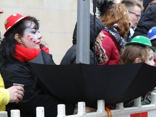 Faschingsumzug Plauen - 23.02.2020