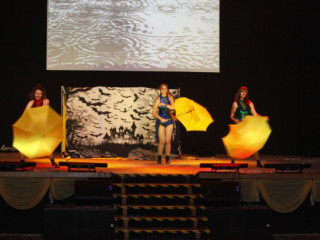 Hauptfasching des WKC - 15.02.2025