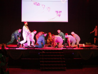 Hauptfasching des WKC - 15.02.2025