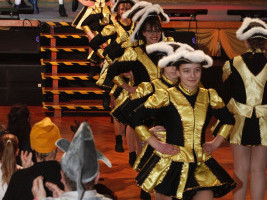 Kinderfasching - 15.02.2025