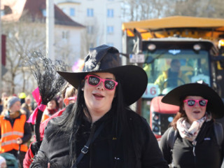 Plauener Faschingsumzug - 02.03.2025