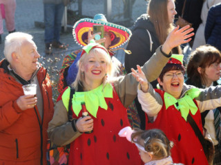 Plauener Faschingsumzug - 02.03.2025