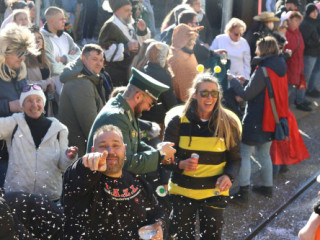 Plauener Faschingsumzug - 02.03.2025