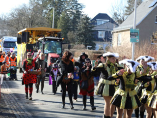 Plauener Faschingsumzug - 02.03.2025