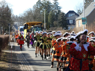 Plauener Faschingsumzug - 02.03.2025