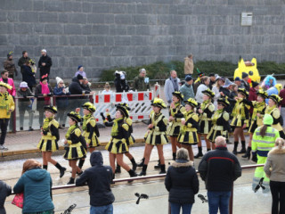 Plauener Faschingsumzug - 15.02.2026