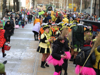 Plauener Faschingsumzug - 15.02.2026