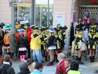 Plauener Faschingsumzug - 15.02.2026