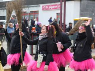 Plauener Faschingsumzug - 15.02.2026