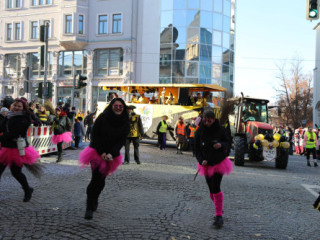 Plauener Faschingsumzug - 15.02.2026