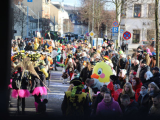 Plauener Faschingsumzug - 15.02.2026