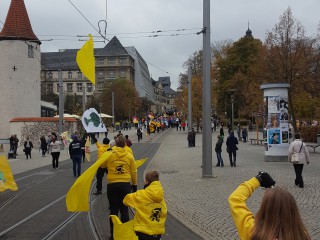 Rathaussturm - 11.11.2017