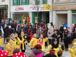 Faschingsumzug - 15.02.2015