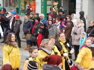 Faschingsumzug - 15.02.2015