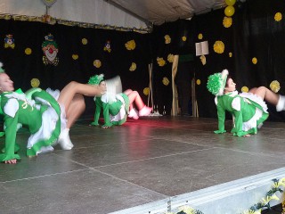 Faschingsumzug - 07.02.2016