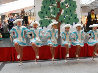 Rosenmontag - 08.02.2016