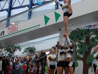 Rosenmontag - 08.02.2016