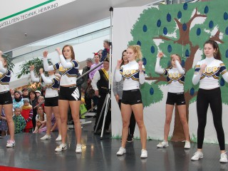 Rosenmontag - 08.02.2016