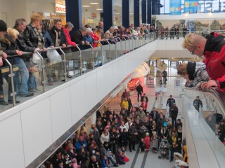 Rosenmontag - 08.02.2016