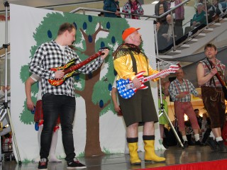 Rosenmontag - 08.02.2016