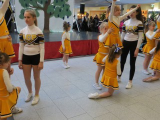 Rosenmontag - 08.02.2016