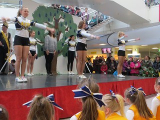 Rosenmontag - 08.02.2016