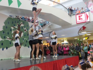 Rosenmontag - 08.02.2016