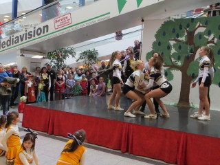 Rosenmontag - 08.02.2016