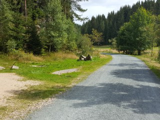 Tanzcamp - 20.08.2016