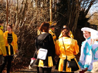 Faschingsumzug - 26.02.2017