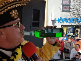 Faschingsumzug - 26.02.2017